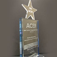 ASIAN CONSUMER ENGAGEMENT AWARD